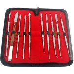 Dental Carving Set