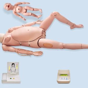 Advance midwife mankin